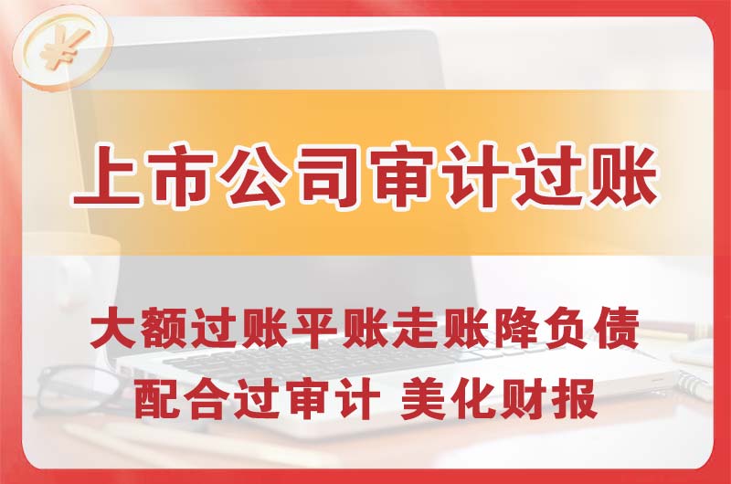 番禺上市公司审计过账